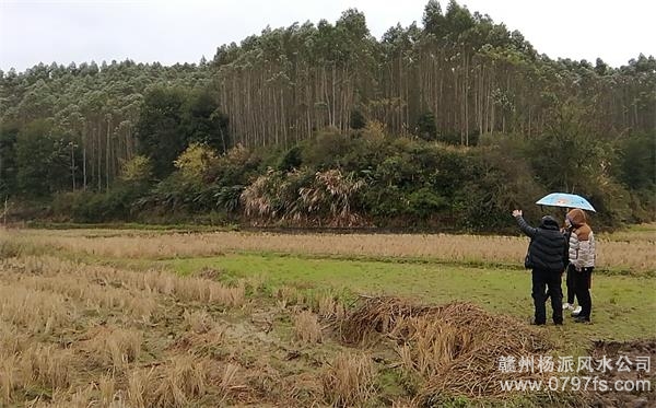 江西陈老师带着爱徒寻龙点穴